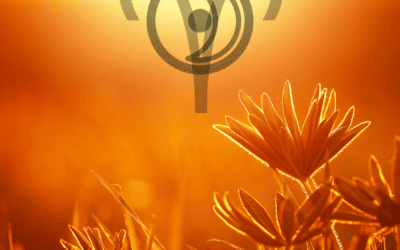 The 2019 Aries New Moon – Shifting Into A New Identity