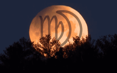 The 2020 Virgo Full Moon – Seeking Something Real