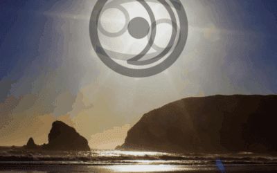 The 2020 Cancer New Moon – Round Two – The Choice or The Push