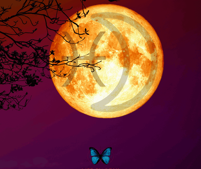 The 2021 Pisces Full Moon – The Healing of Service