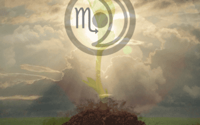 The 2021 Scorpio New Moon – From the Darkness Into A New Beginning