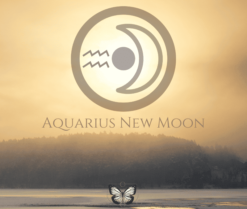 The 2022 Aquarius New Moon – Finding A New Way to Rebel