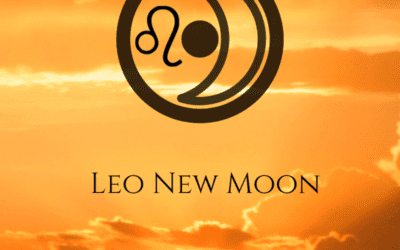 The 2022 Leo New Moon – Out of the Shadows, Shining Your Light