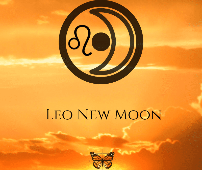 The 2022 Leo New Moon – Out of the Shadows, Shining Your Light