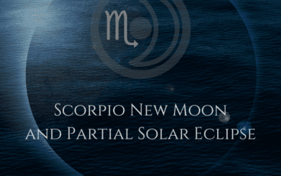 The 2022 Scorpio New Moon and Partial Solar Eclipse – You Can’t Take It with You