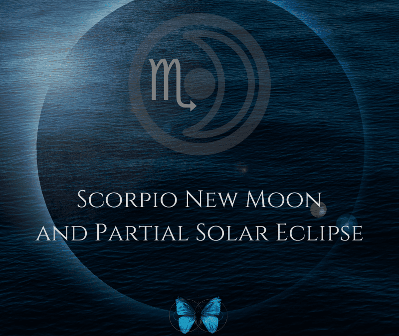 The 2022 Scorpio New Moon and Partial Solar Eclipse – You Can’t Take It with You