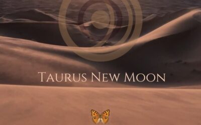 The 2023 Taurus New Moon – New Values, New Choices, New Life Chapter