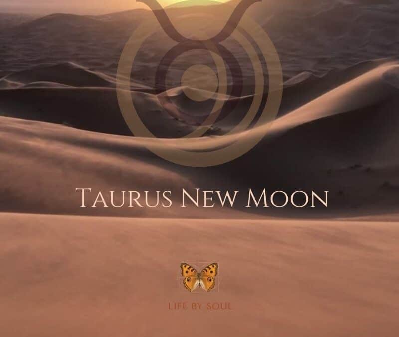The 2023 Taurus New Moon – New Values, New Choices, New Life Chapter
