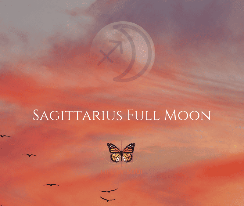 The 2023 Sagittarius Full Moon – You Can’t Take It With You (a.k.a. Spring Cleaning for Growth and Expansion)