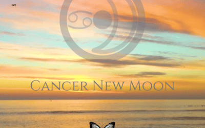 The 2023 Cancer New Moon – Feeling Your Way to Something New and True