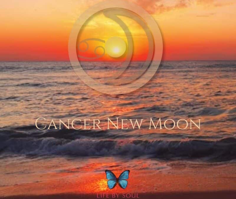 The 2024 Cancer New Moon – Investing in Yourself…Emotionally