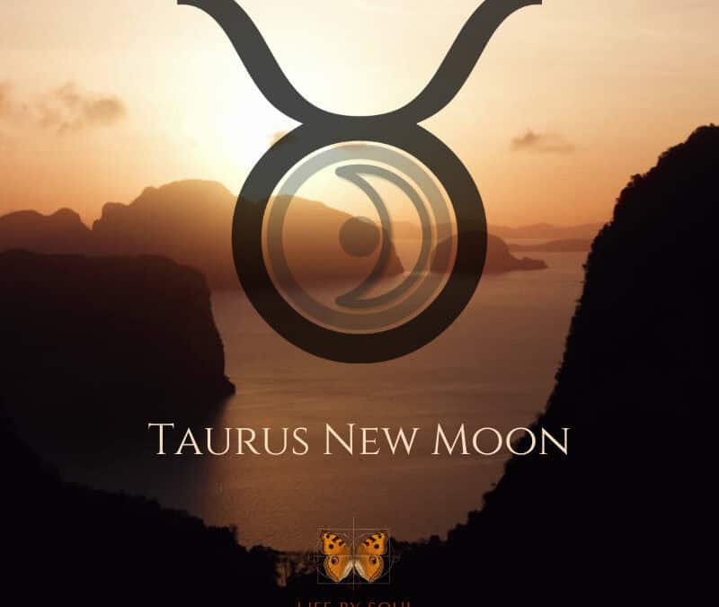 The 2026 Taurus New Moon – Shifting the Supports