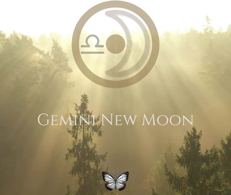 The 2026 Gemini New Moon – Clear New Information, Clear New Thoughts, Clear New Circles