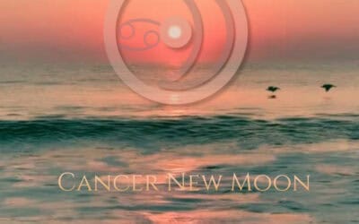 The 2026 Cancer New Moon – Letting Go for Something New to Hold Onto